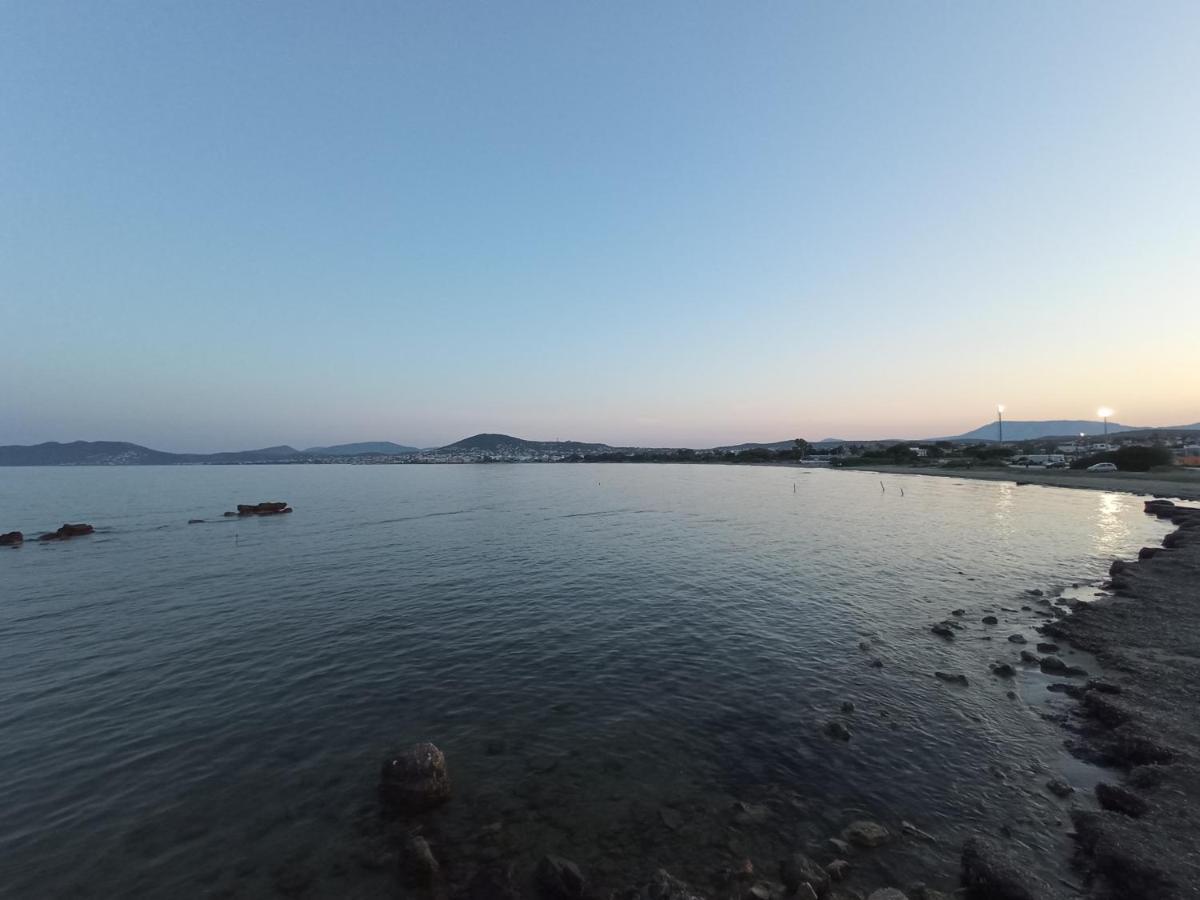 Flat With Garden Near Sea, Port And Airport Apartment Artemida  Ngoại thất bức ảnh