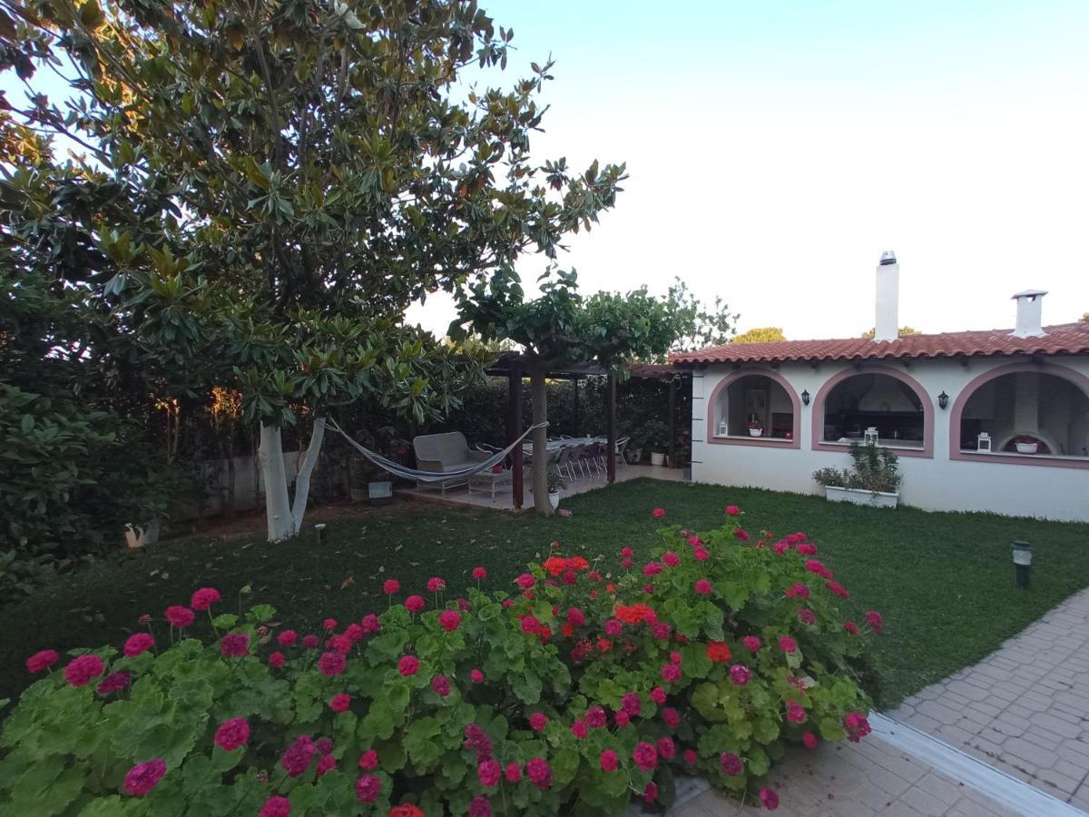 Flat With Garden Near Sea, Port And Airport Apartment Artemida  Ngoại thất bức ảnh