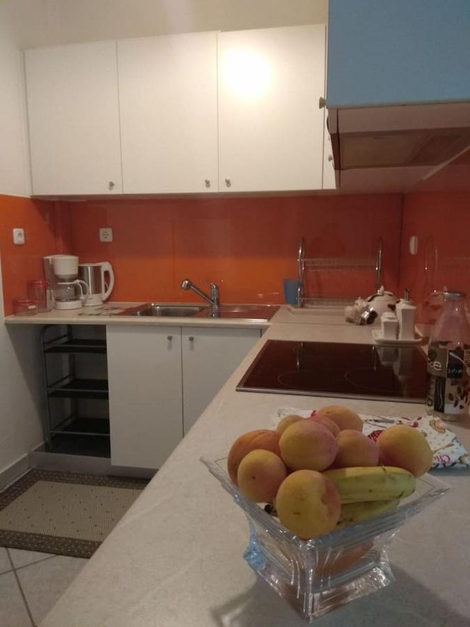 Flat With Garden Near Sea, Port And Airport Apartment Artemida  Ngoại thất bức ảnh